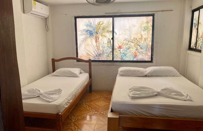 Las acacias Tolu - Foto 56