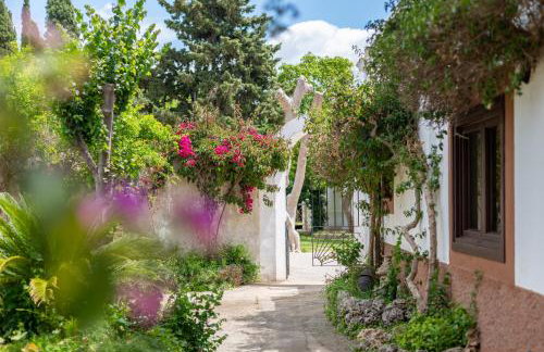 Moli dels Reis - Photo 37