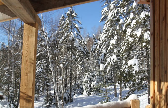 Les Chalets du Trappeur - Photo 27