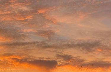 Schlafen über der Whiskybar - Foto 23