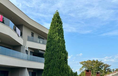 Apt Stoja Beach - 50m from the sea !! - Photo 37