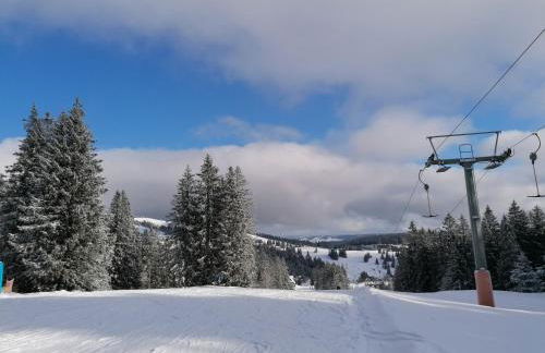 Ferienwohnung Schwarzwaldnest Feldberg - Foto 33