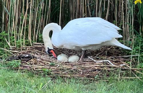 COSY LITTLE HOME - Foto 21