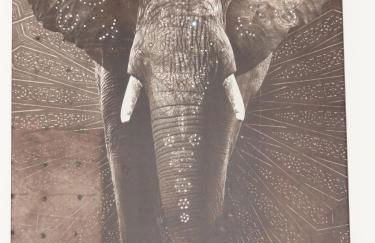 El Muro de Piedra - Foto 27