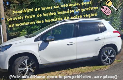 Independent F2 pool sauna garden - Foto 18