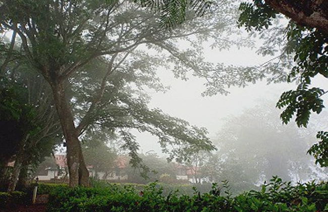 Deluxe Double Room In British Bungalow - Foto 9