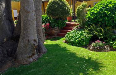 Finca El Trazo - Foto 28