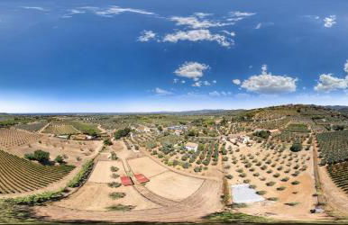 Agriturismo IL VECCHIO OLIVO - Foto 15