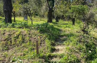 Villa Cottage Eleni - Foto 21