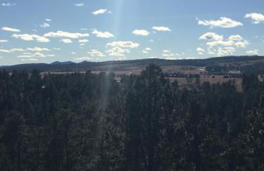Priceless Black Hills View - Foto 30