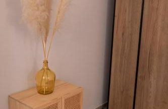 Château de l'insolas - Photo 58