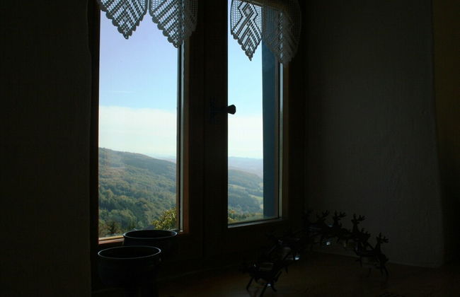 Ehemaliges Bauernhaus mit Liegewiese - Foto 32