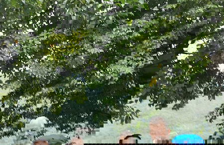 Carambola Bungalow - Foto 75