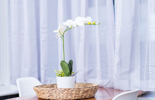 Esplanade Apartments - Photo 28