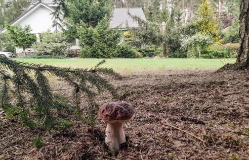 Awesome Home In Rybakowo With Wifi - Foto 12