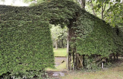 Grooms Cottage - Foto 12