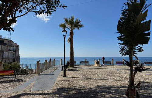 Fourteensuitetropea - Foto 46