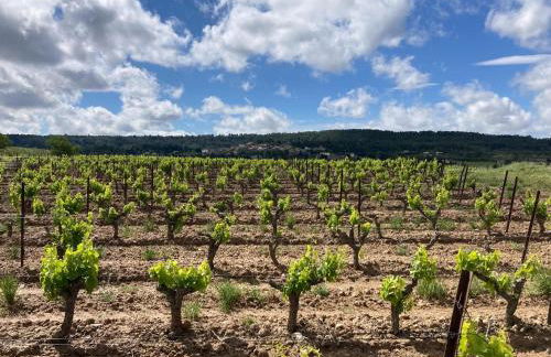 Comfortable villa with jacuzzi - Foto 34