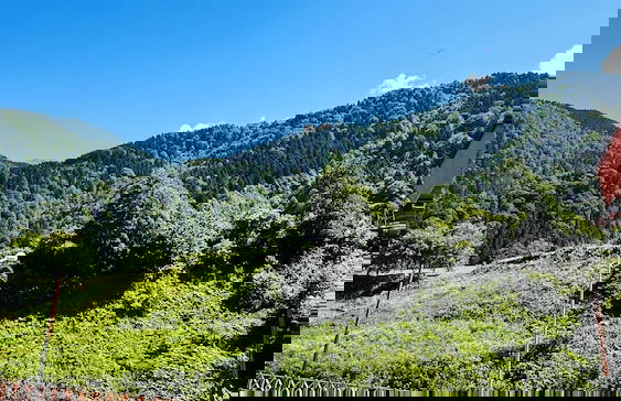 Tapanoz Villa - Foto 48