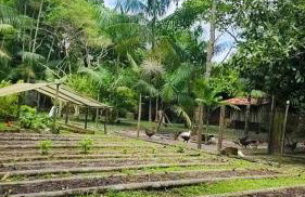 Chácara Bela Vista - Photo 45