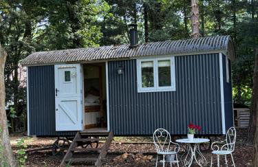 Chez Marguerite Luxury Shepherd's Hut and Sauna - Foto 4