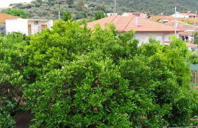 Peter's traditional house - Foto 9