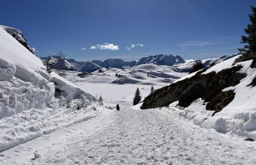 Stunning view and spacious terrace 200m from gondola - Foto 6