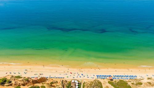 Manso da Falésia - Foto 2