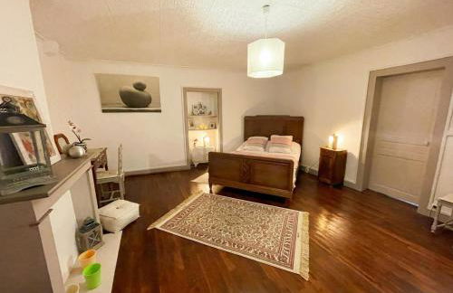 Gîte spacieux avec jardin et animaux acceptés près de Blois - FR-1-491-472 - Foto 11