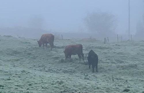 Happy Feet Cottage, Sleeps 6 - Foto 21