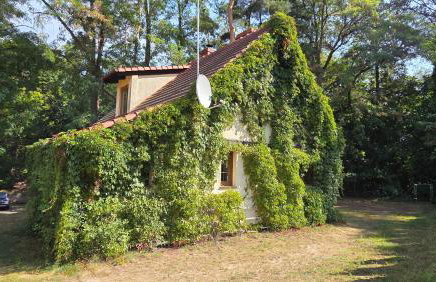 Żółty Domek nad Jeziorem Lubniewice - Foto 10