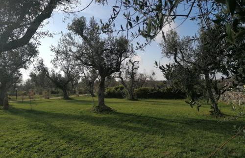 Tenuta San Lorenzo - Foto 128