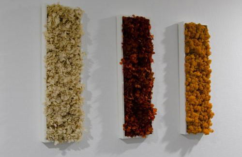 Résidence Ambroise Paré - Foto 24