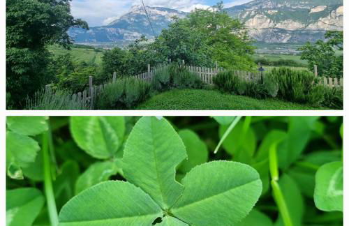 cottage lavanda e rosmarino - Foto 18
