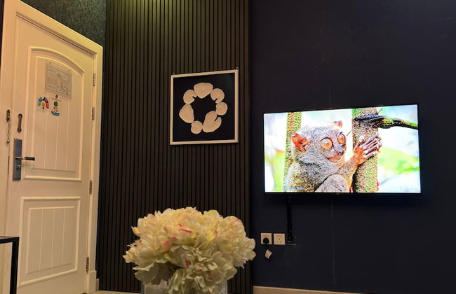 Dana Serviced Apartments2 - Photo 64