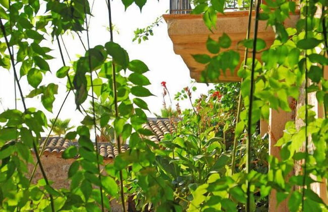 Finca Sa Cova Vella - Photo 27