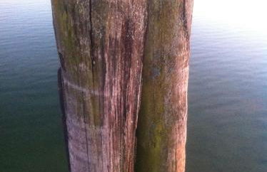 Ferienwohnung Seebruck am Chiemsee - Photo 32