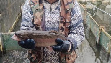 Altana całoroczna Vira numer 7 Herbergerówka Agroturystyka na wsi - Foto 4