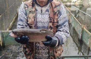 Altana całoroczna Piotr numer 6 - Herbergerówka Agroturystyka na wsi - Foto 7