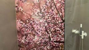 Moselfreude - Foto 3, Shower