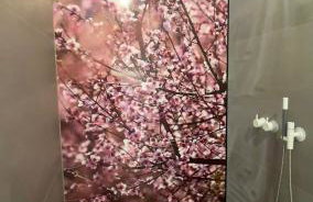 Moselfreude - Foto 3