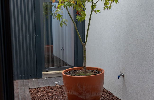 Oporto Trendy Formosa - Foto 47