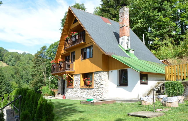 Family Chalet in Giant Mountains - Photo 20