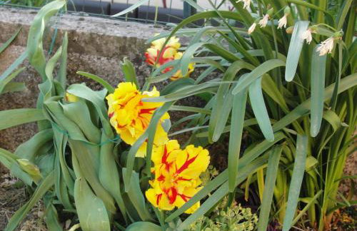 Apartment Karmel - Photo 28