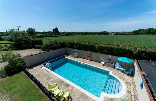 Birds Farm - Foto 16