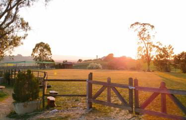 Herdade da Hera - Foto 61