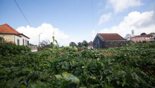 Casa Serafina by Rent-a-key - Foto 3