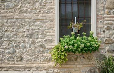 Verdenoce Agriturismo - Foto 79