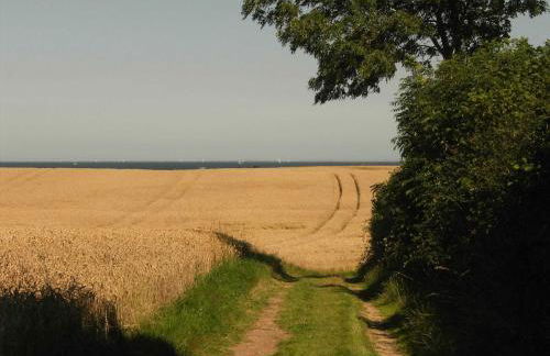 Gemuetliches Blockhaus - Photo 21