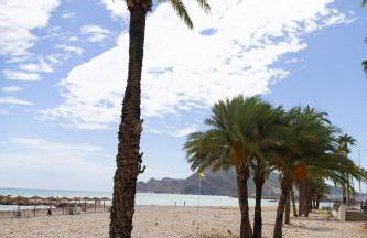 El Toro Apartments - Photo 29